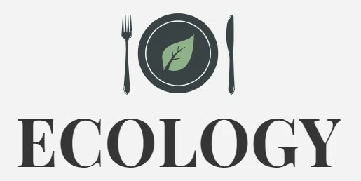 Outlet Ecology Store